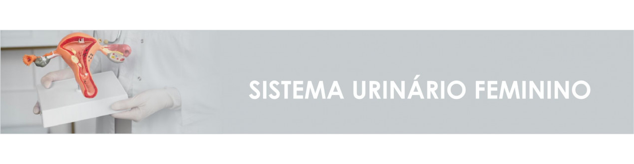 Sistema Urinário Feminino